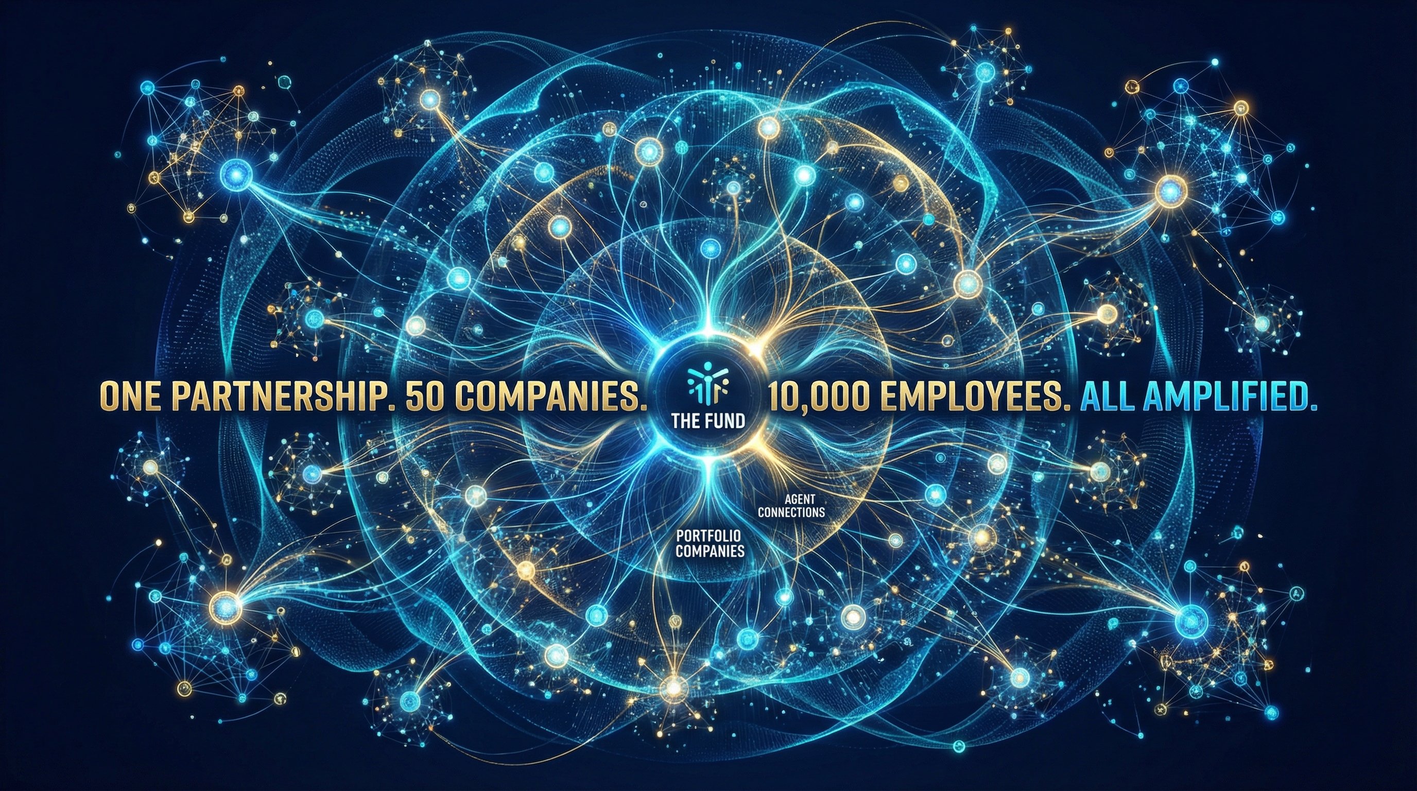 Portfolio network visualization